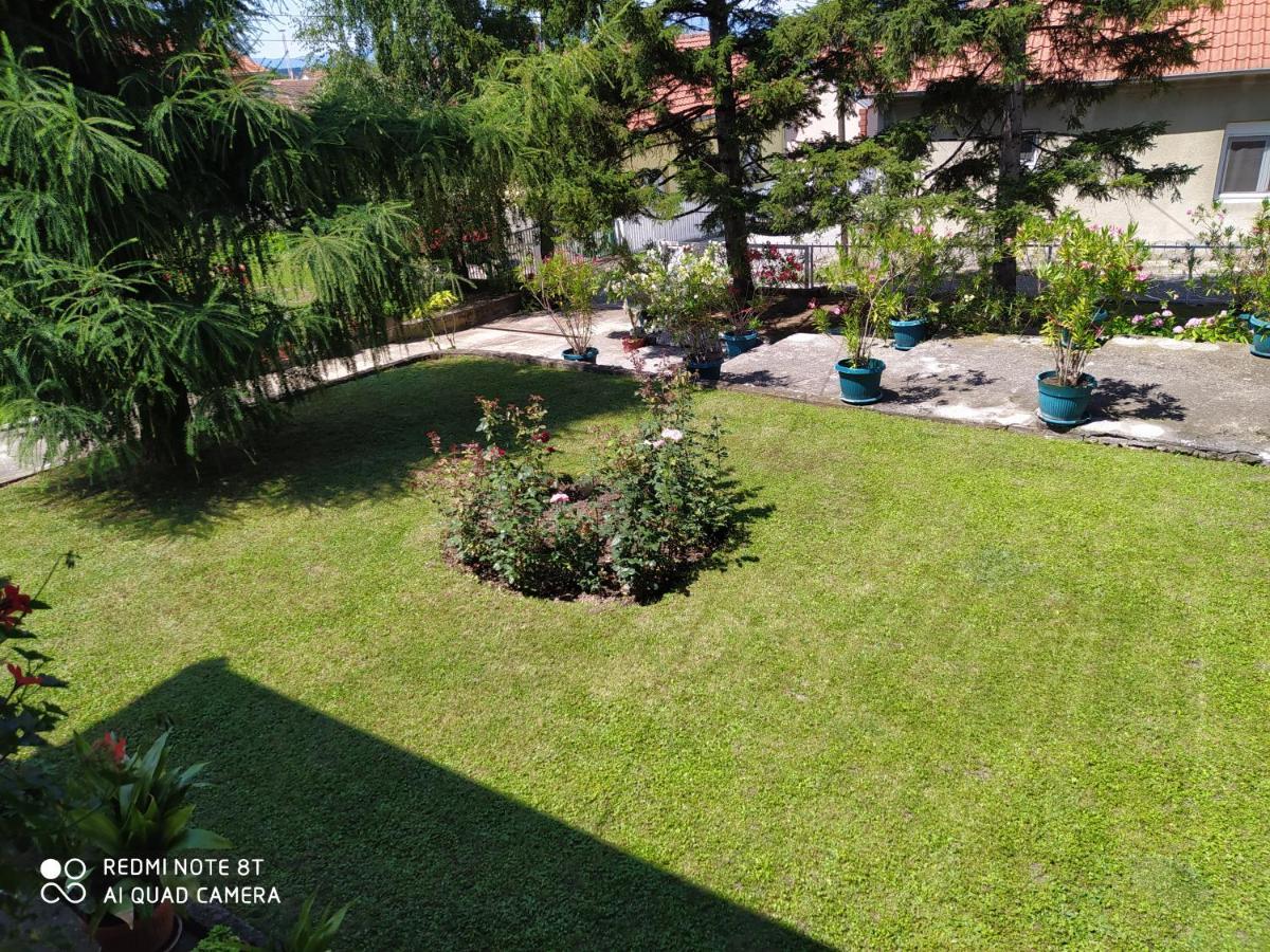 Apartment & Rooms Aleksandar Golubac Exterior foto