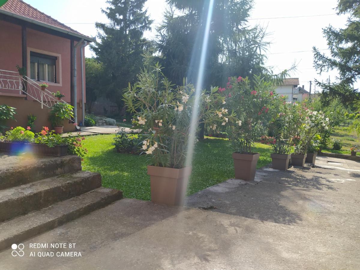 Apartment & Rooms Aleksandar Golubac Exterior foto