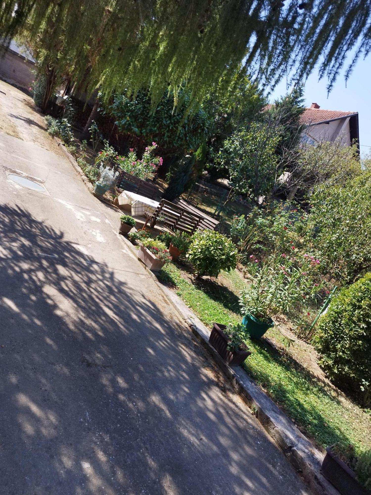 Apartment & Rooms Aleksandar Golubac Exterior foto